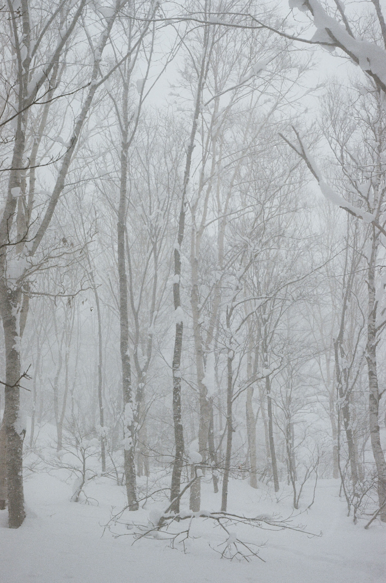 Outdoor adventure photograph from the Ruckus Media portfolio