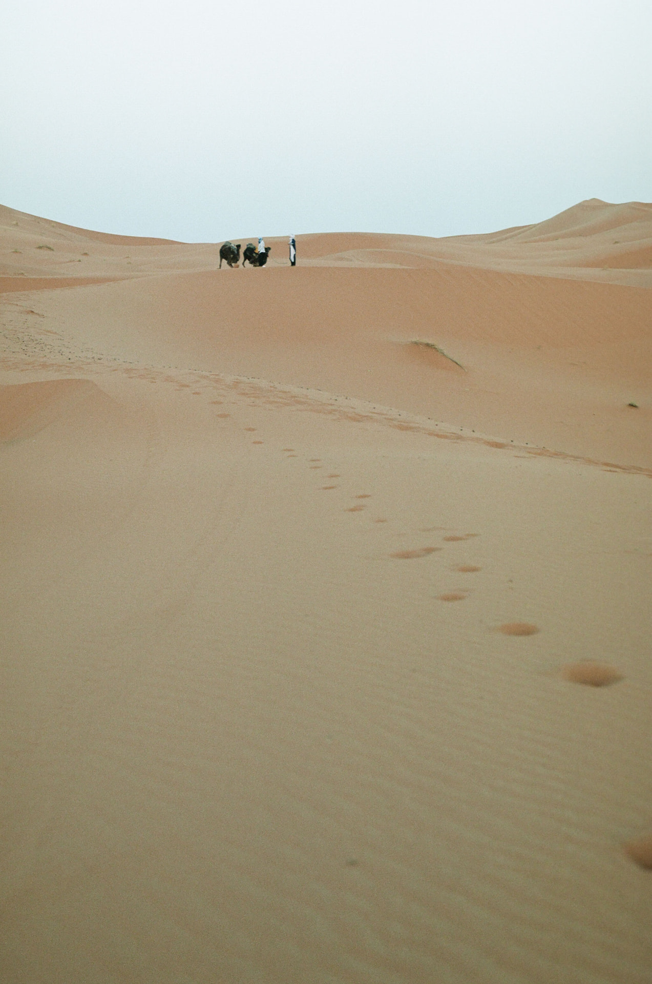 Outdoor adventure photograph from the Ruckus Media portfolio