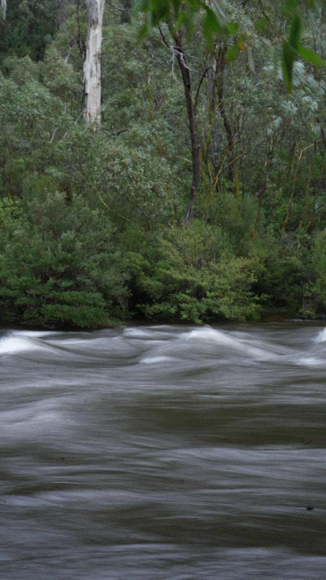 Creative landscape photograph from the Ruckus Media portfolio