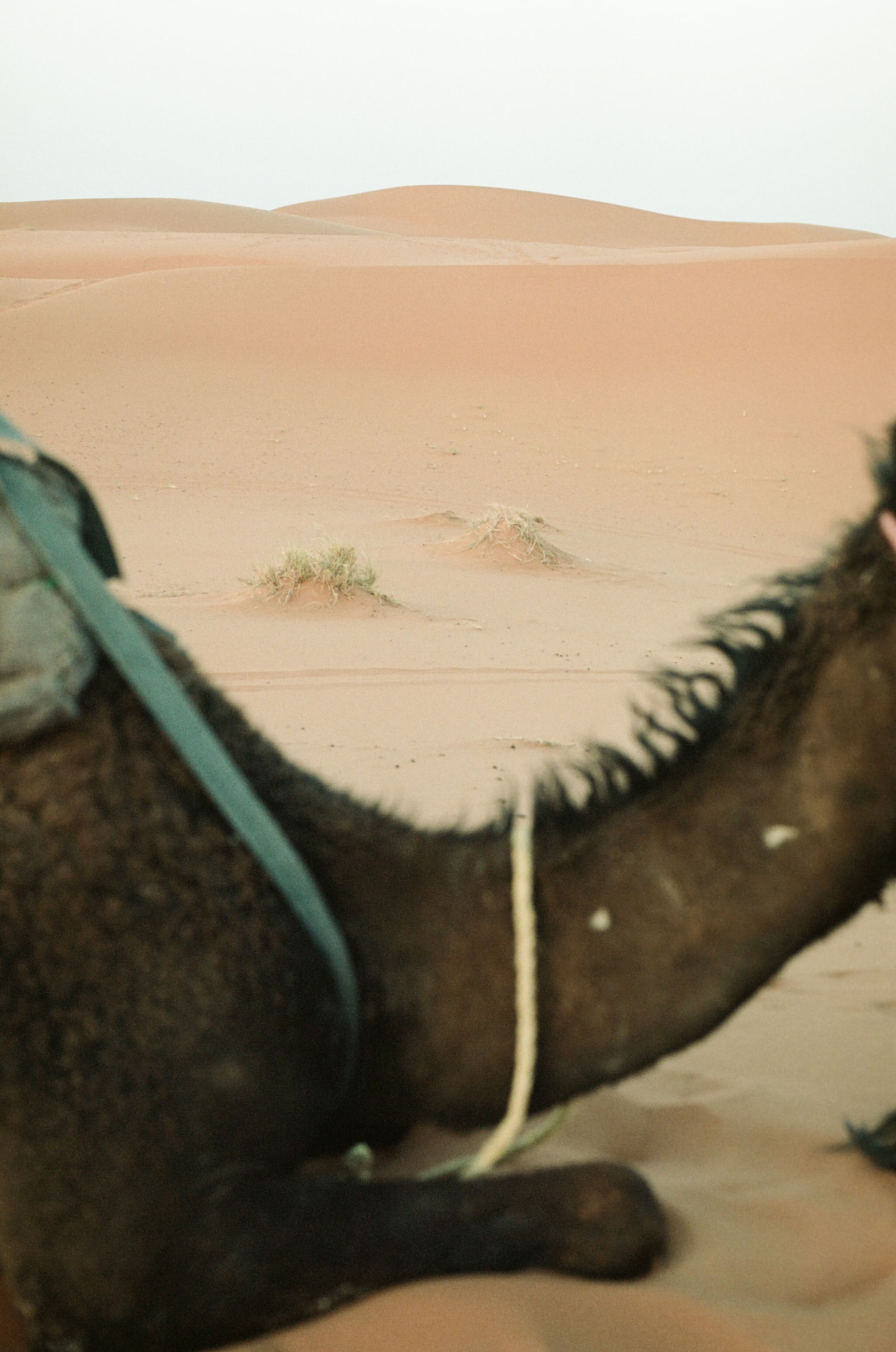 Outdoor adventure photograph from the Ruckus Media portfolio